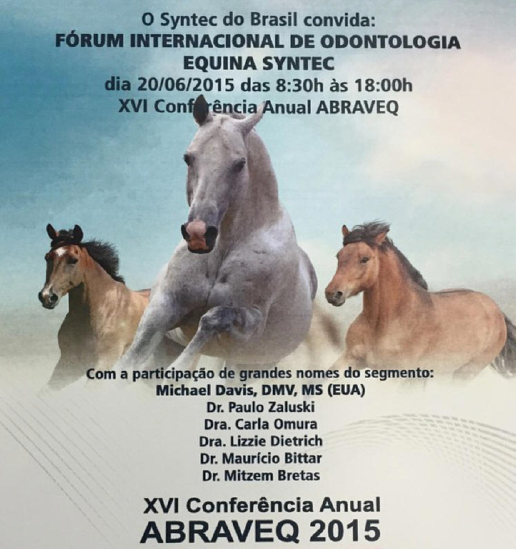 ABRAVEQ 2015