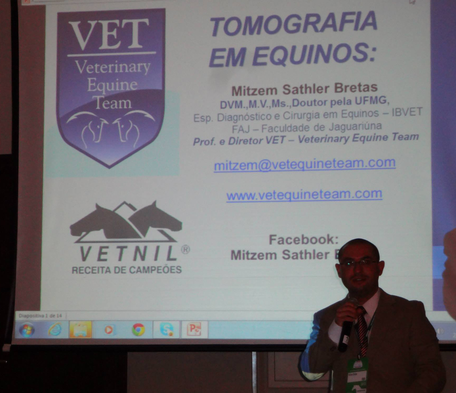 Tomografia em  Equinos