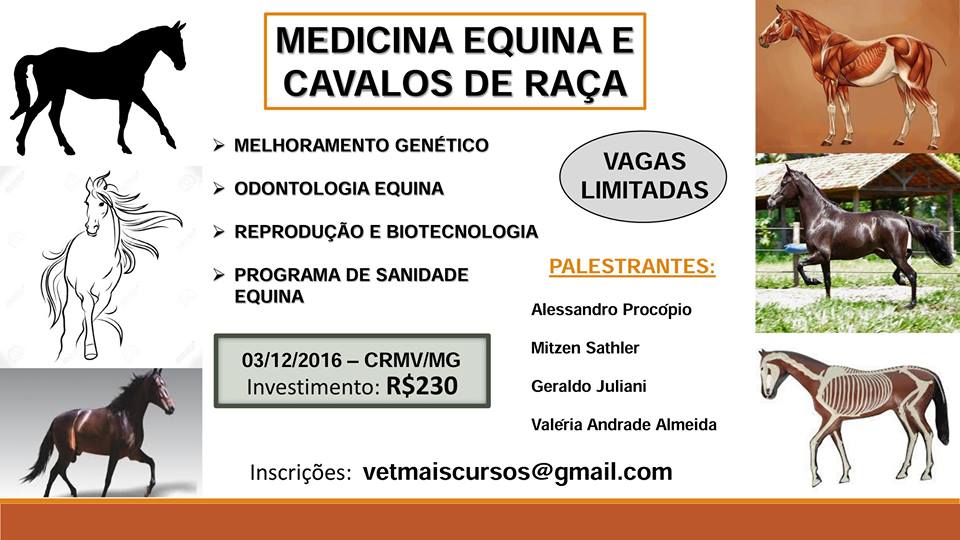 Medicina Equina e Cavalos de Raa